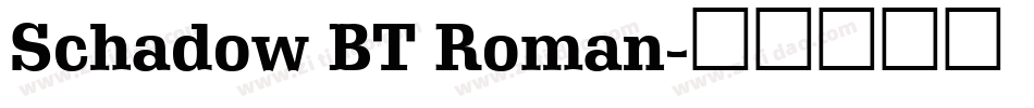 Schadow BT Roman字体转换